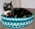 Kitties All Around by Jennifer Reeve – Craft Kitten Designs